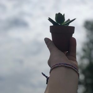 Meet your Posher, Jacklyn